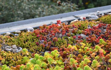 the cost of Old Shoreham green roof installation