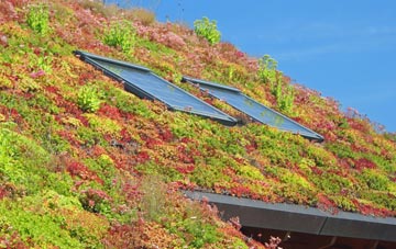 Old Shoreham living roof systems